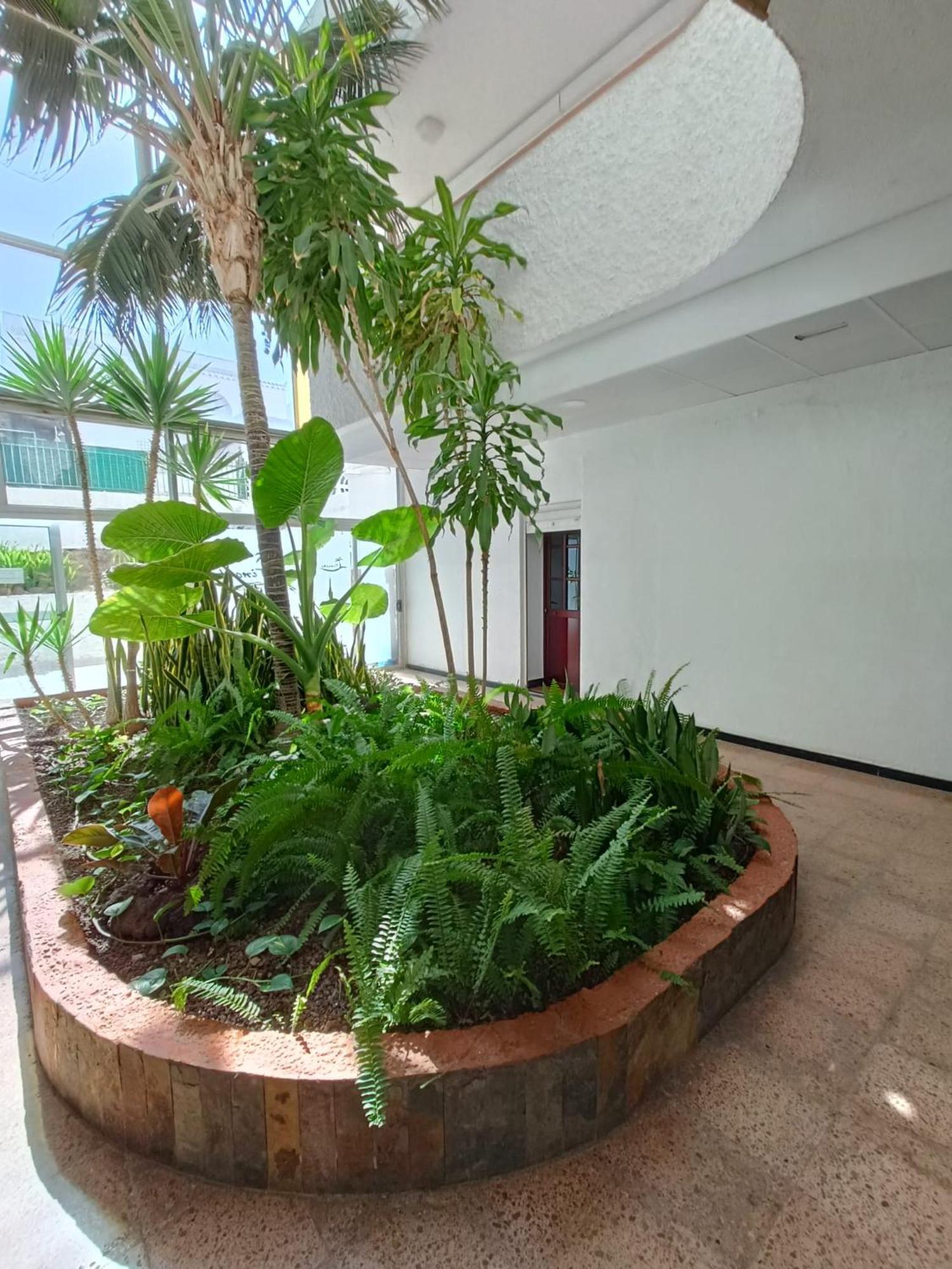 마스팔로마스 Playa Del Ingles 5 Min Walk From Yumbo! 512 아파트 외부 사진